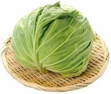 北海道など国内産　キャベツ　１玉