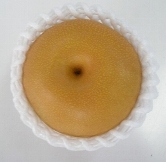 商品名