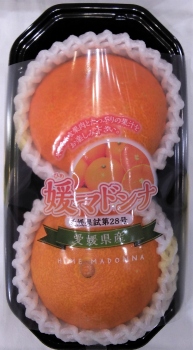 愛媛県など国内産 媛マドンナ ２ｌサイズ ２個入 イオン旭川西店 ネットで楽宅便