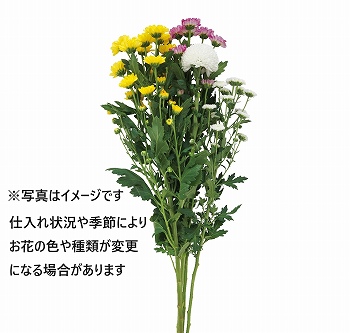トップバリュ　ベトナム産　マムブーケ