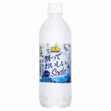 トップバリュ　ベストプライス　ＳＯＤＡ　５００ｍｌ