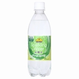 トップバリュ　ベストプライス　ＳｐａｒｋｌｉｎｇＷａｔｅｒ炭酸水グレープフルーツ　５００ｍｌ