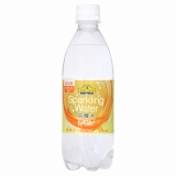トップバリュ　ベストプライス　ＳｐａｒｋｌｉｎｇＷａｔｅｒ炭酸水　レモン　５００ｍｌ