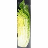 北海道など国内産　白菜　１／８カット