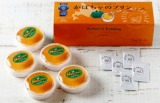 プティメルヴィーユ　かぼちゃのプリン（冷凍）　５個