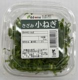 ねぎこさま専用 こと京都のきざみ九条ねぎ 1.2kg(50g×24p)【冷凍・カップ】 | 京都府