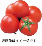 福島・北海道など国内産　カゴメ　高リコピントマト　１袋