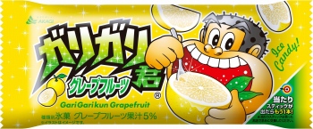 赤城乳業 ガリガリ君 グレープフルーツ １０５ｍｌ イオン千歳店 ネットで楽宅便