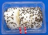 日糧製パン　塩おむすび３個　１パック