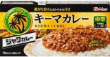 ハウス食品　ジャワカレー　キーマカレー　中辛　１７６ｇ