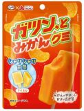 不二家　ガツンとみかんグミ　５３ｇ
