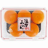 ニュージーランド産 キウイフルーツ（サンゴールド） 4Lサイズ 3個