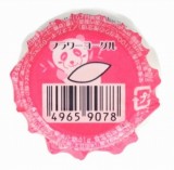 やおきん　フラワーヨーグル　６．８ｇ