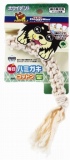 【火曜対象】ドギーマンハヤシ　毎日ハミガキコットン　スティ...