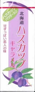 札幌グルメフーズ 北海道ハスカップキャラメル １８粒 イオン釧路昭和店 ネットで楽宅便