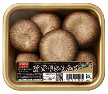 新潟県など国内産 霜降りひらたけ 1パック イオン上磯店 ネットで楽宅便 新潟県など国内産 霜降りひらたけ 1パック イオン上磯店 ネットで楽宅便