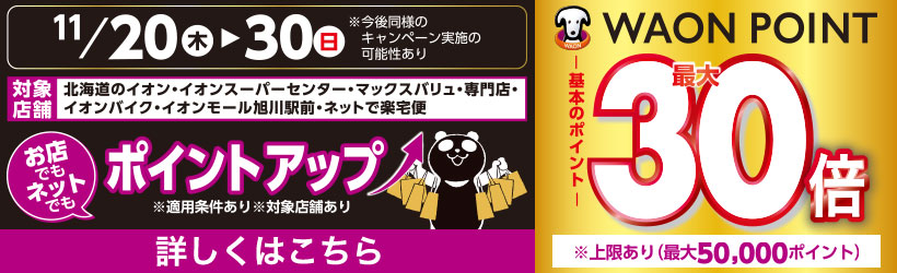イオンブラックフライデー　ポイントアップキャンペーン
