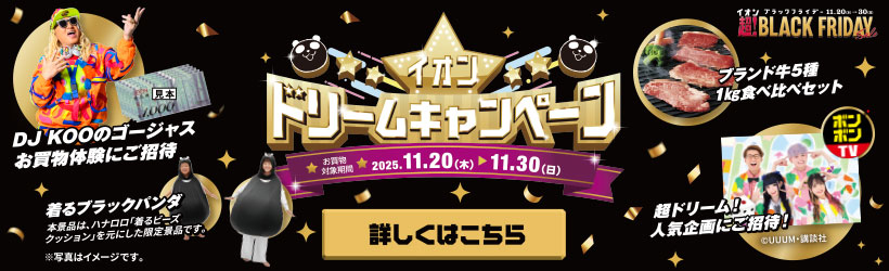 イオンブラックフライデードリームキャンペーン