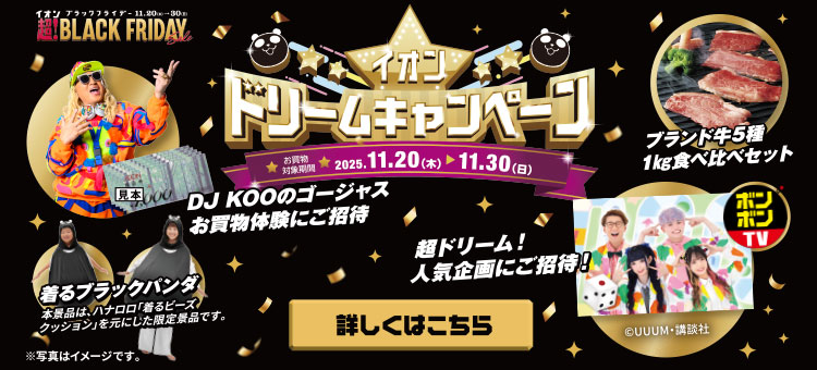 ブラックフライデー　ドリームキャンペーン