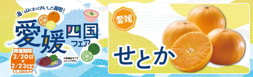 愛媛四国フェア