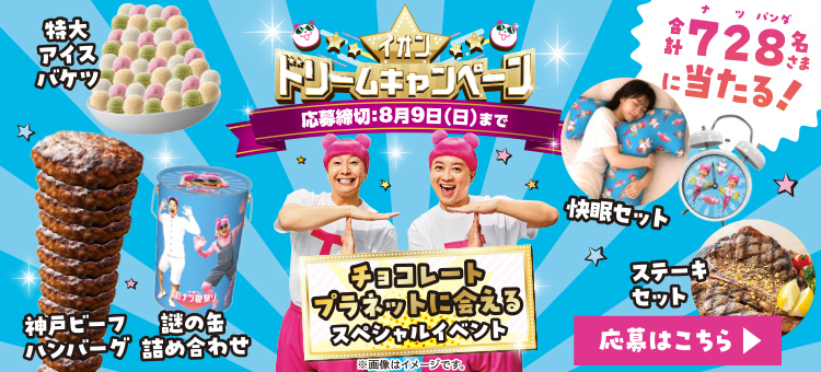 イオンドリームキャンペーン