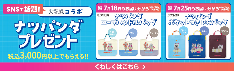 ナツパンダプレゼント