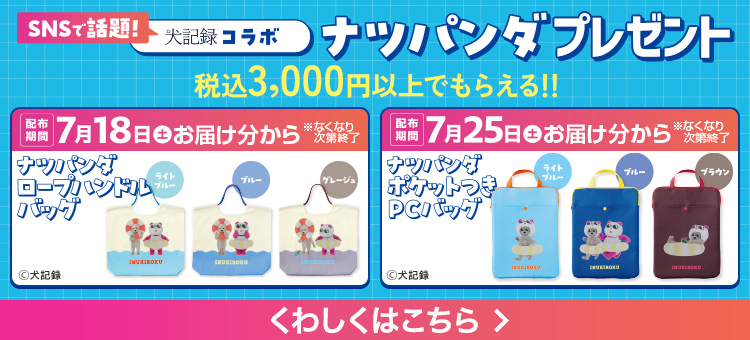 ナツパンダプレゼント
